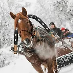 Aurora Village 4* Ivalo