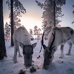 Resort Aurora Village 4*