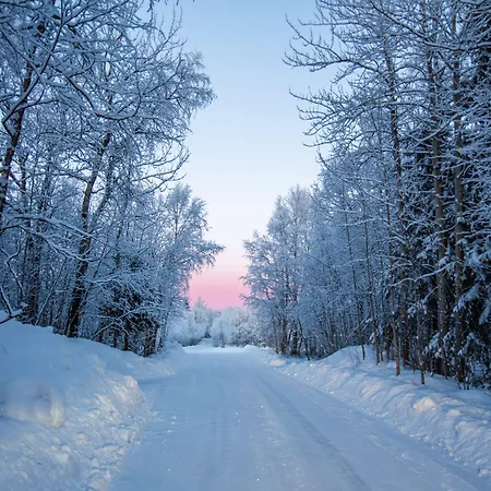 Aurora Village Ivalo