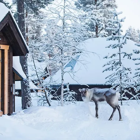 Aurora Village Ivalo