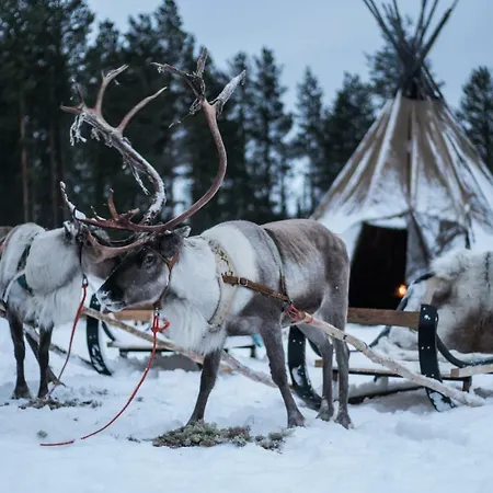 Aurora Village 4* Ivalo