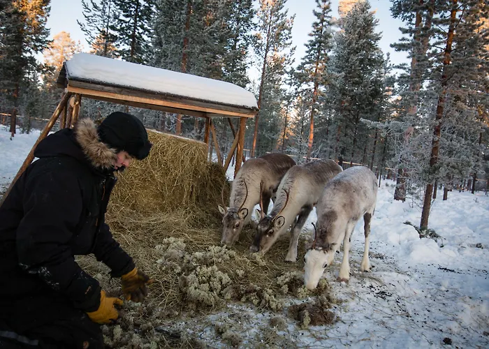 Aurora Village منتجع