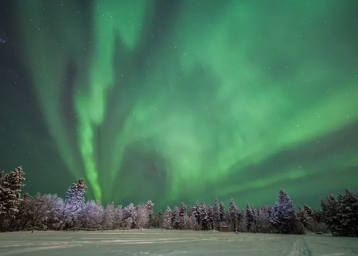 منتجع Aurora Village