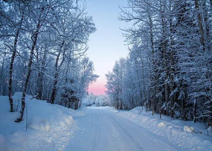 Aurora Village إيفالو