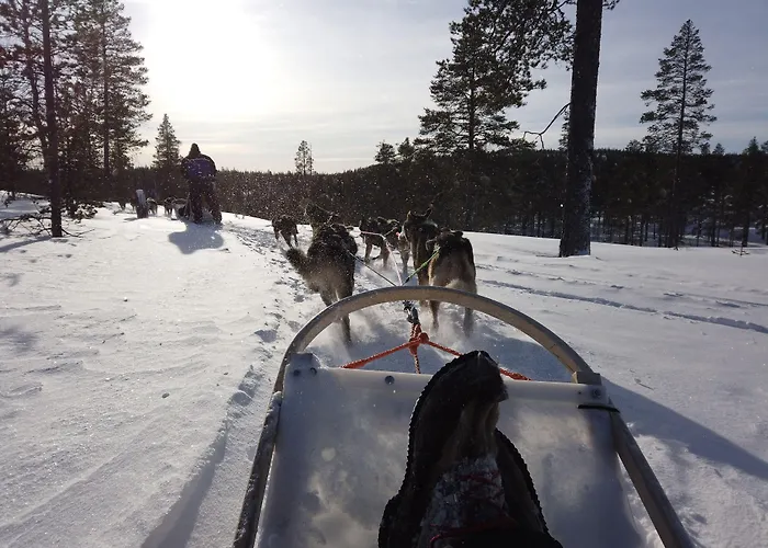 منتجع Aurora Village إيفالو