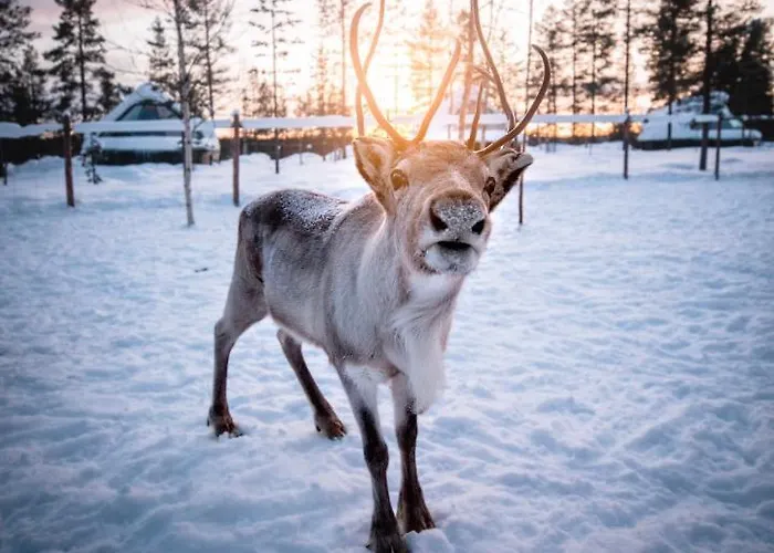 伊瓦洛奥罗拉村度假酒店 伊瓦洛