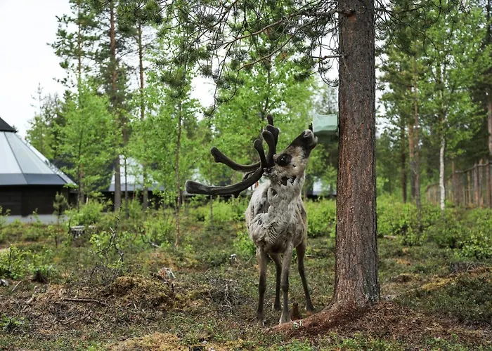 伊瓦洛奥罗拉村度假酒店 4* 伊瓦洛