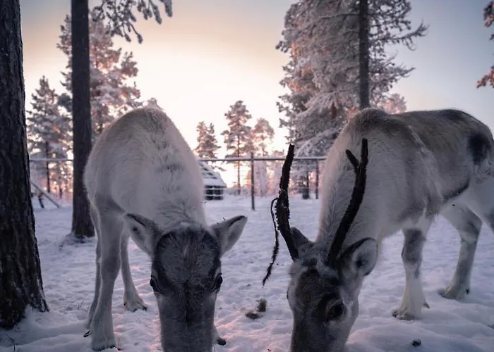 度假村 伊瓦洛奥罗拉村度假酒店 4*