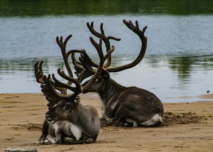 伊瓦洛奥罗拉村度假酒店 度假村